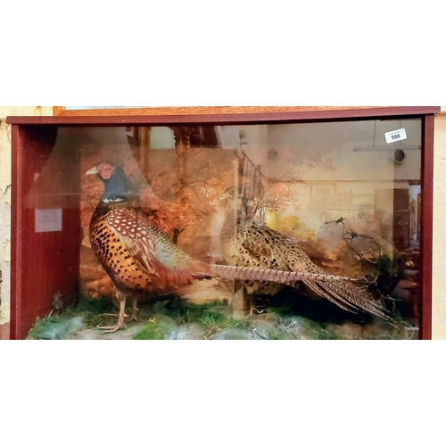 588 - Cased Taxidermy Pheasants - C. 89cm W x 51cm H