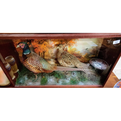 588 - Cased Taxidermy Pheasants - C. 89cm W x 51cm H