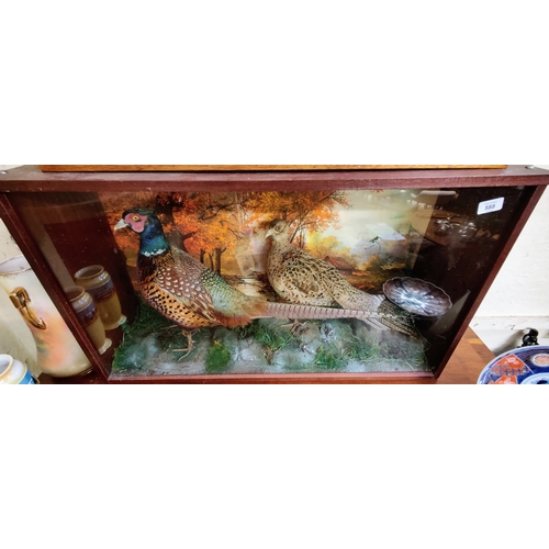 588 - Cased Taxidermy Pheasants - C. 89cm W x 51cm H