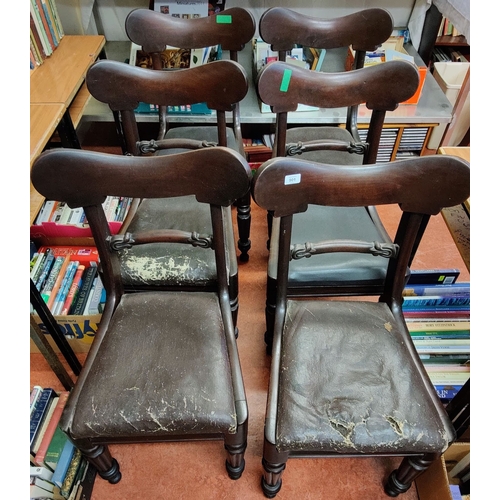 901 - Set of 6 Rosewood William IV Dining Chairs - Stamped C.C.