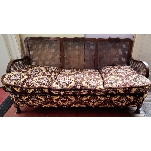 904 - Mahogany Frame Bergere Back Settee