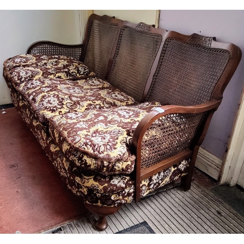 904 - Mahogany Frame Bergere Back Settee