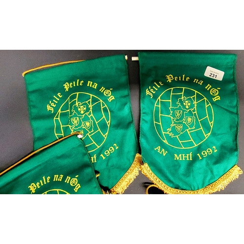 231 - GAA Feile Peile na nOg Meath 1992 & 1991 Pennants