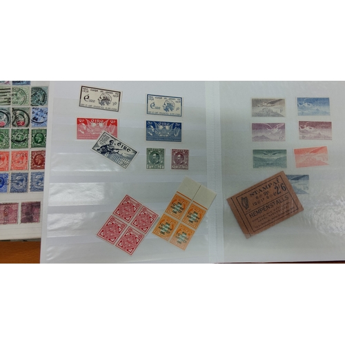 644 - 2 Albums of Mainly Irish Stamps inc Overprints