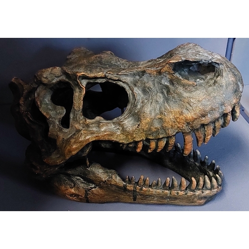 151 - Moulded Dinosaur Skull