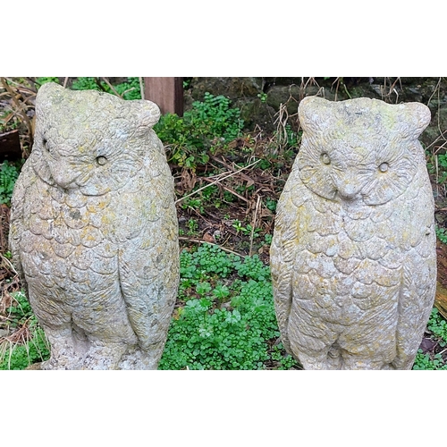 443 - Pair of Composite Stone Owl Figures - C. 44cm H