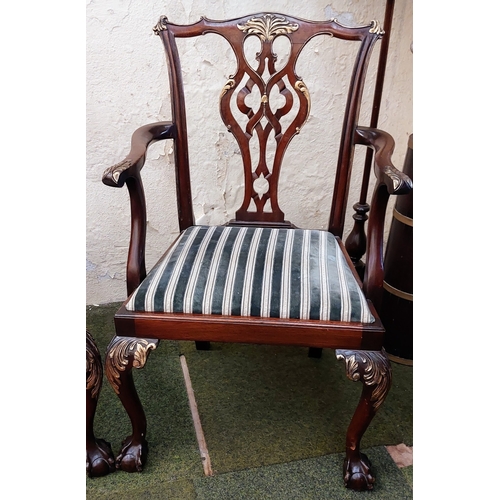 595 - Pair of Georgian Style Carved Mahogany and Gilded Armchairs on Ball and Claw Feet