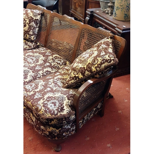 778 - Mahogany Frame Bergere Back Settee