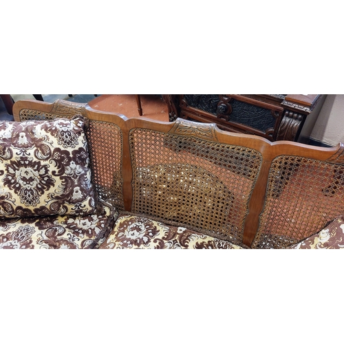 778 - Mahogany Frame Bergere Back Settee