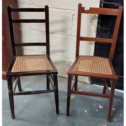 101 - 2 Bergere Seat Chairs