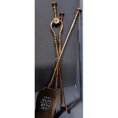 7 - Set of Georgian Fire Irons & a Brass Companion Set