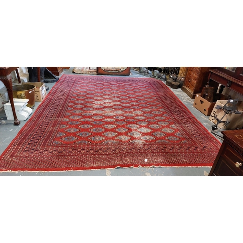 258 - Large Red Rug - C. 335cm x 250cm