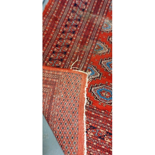 258 - Large Red Rug - C. 335cm x 250cm