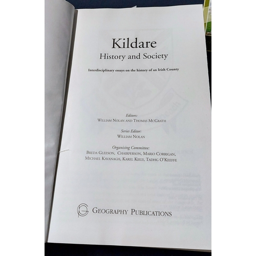 317 - William Nolan & Thomas McGrath - Kildare History & Society, H/B, Dust Jacket, Names and Places Indic... 