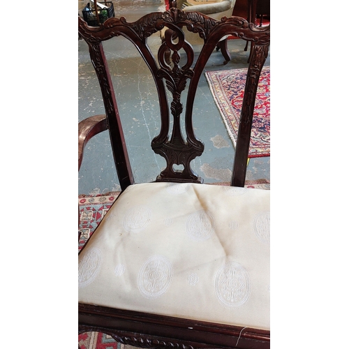 373 - Chippendale Style Mahogany 2 Seater Settee on Ball and Claw Feet - C. 120cm W x 50cm D