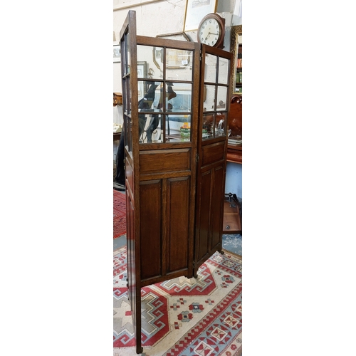 413 - 19th Century Oak Three Fold Glazed and Panel Dividing Screen - C. 167cm H & 46cm W per Panel