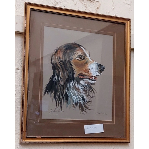 538 - Pair of Gilt Framed Paintings - Alan C Lane - English Setter and Border Collie - C. 48cm W x 56cm H