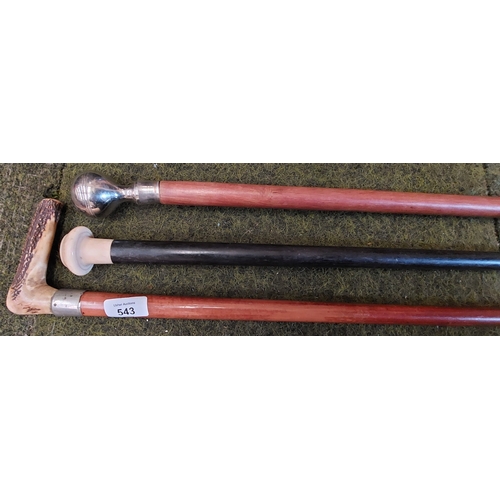 543 - 3 Vintage Walking Sticks