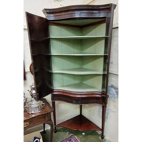 599 - 19th Century Mahogany Adams Style Serpentine Front Corner Cabinet on Stand with PAinted Interior - C... 