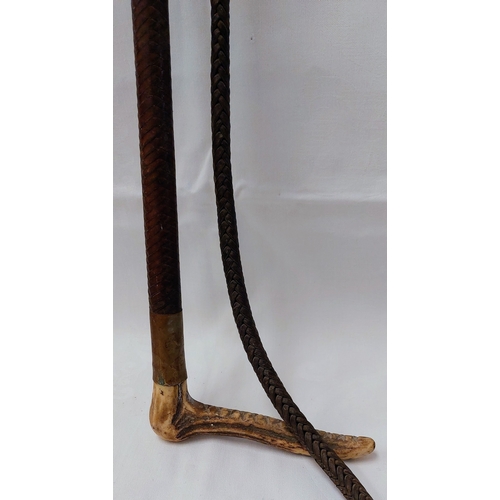 670 - Bone Handle Hunting Whip