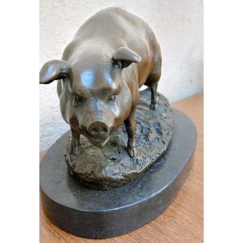 176 - Bronze Model of Pig on Oval Plinth - C. 27cm W x 18cm H