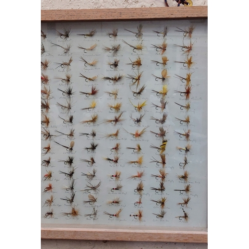 176 - Large Mounted Collection of Fishing Flies - C. 178cm W x 47cm H