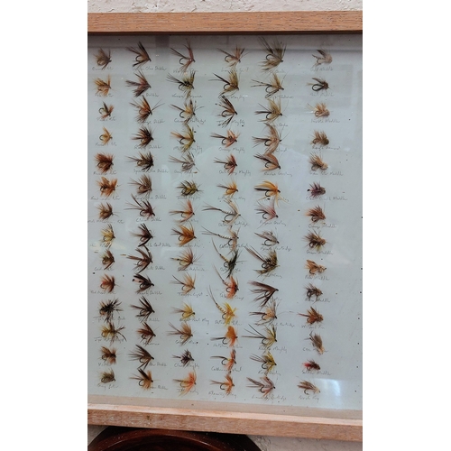 176 - Large Mounted Collection of Fishing Flies - C. 178cm W x 47cm H