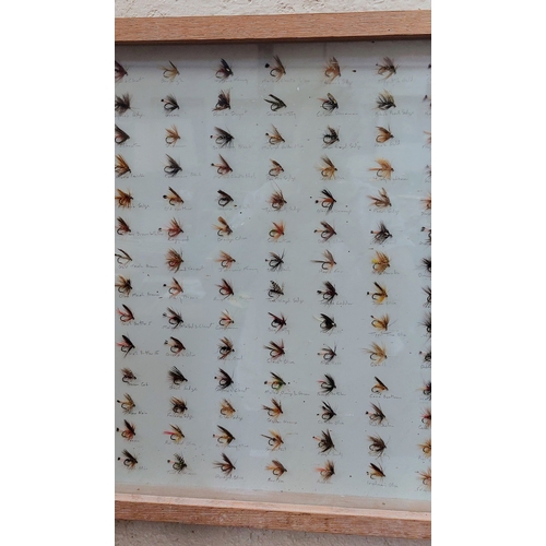 176 - Large Mounted Collection of Fishing Flies - C. 178cm W x 47cm H