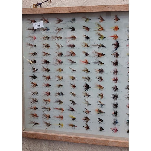 176 - Large Mounted Collection of Fishing Flies - C. 178cm W x 47cm H