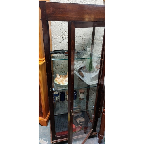 196 - Edwardian Shop Display Cabinet on Castors - C. 55cm W x 35cm D x 139cm H