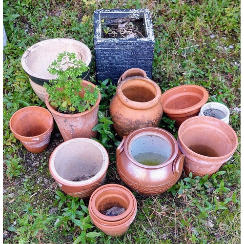 511 - Collection of Terracotta & Ceramic Pots