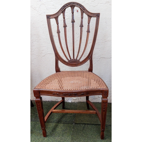 618 - Pair of Hepplewhite Style Rattan Seat Chairs