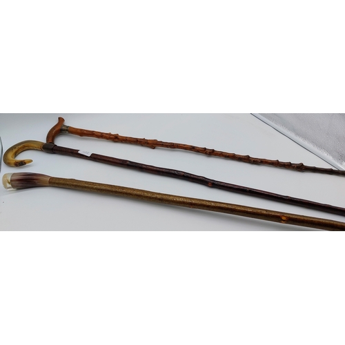 624 - 3 Vintage Walking Sticks