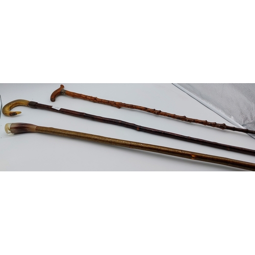 624 - 3 Vintage Walking Sticks