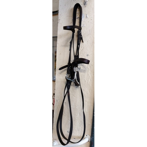 1062 - Leather Bridle