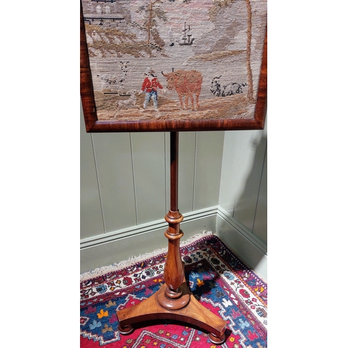 166 - Victorian Mahogany Tapestry Pole Screen