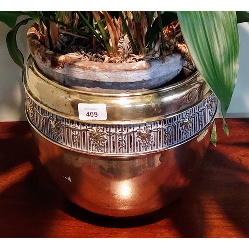 409 - Brass Planter with Aspidistra Elatior Plant