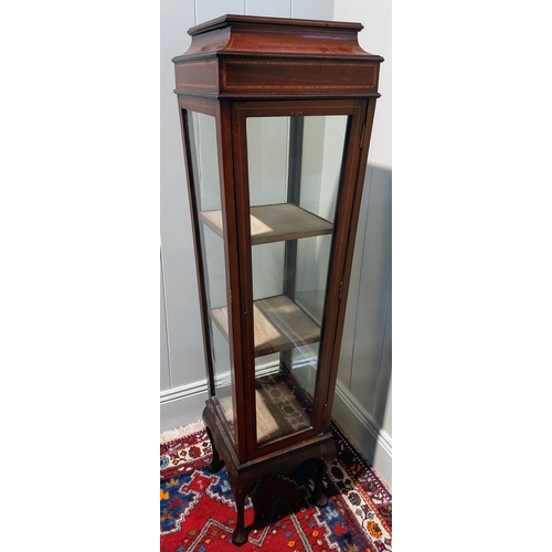 541 - Mahogany Inlaid Tapered Trophy Cabinet - C. 37cm x 37cm x 138cm H