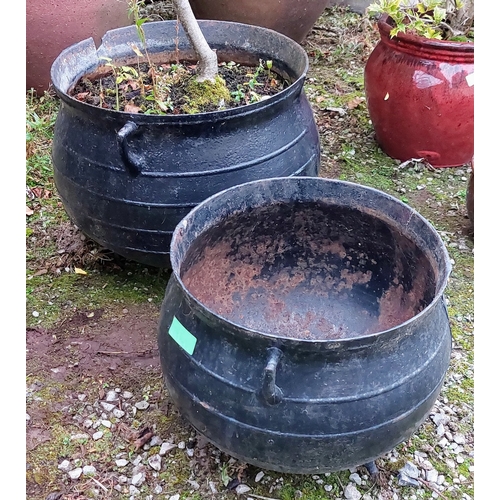 593 - 2 Metal Crock Pots - One Planted (C. 54cm W) & Other C. 44cm W