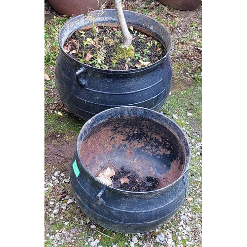 593 - 2 Metal Crock Pots - One Planted (C. 54cm W) & Other C. 44cm W