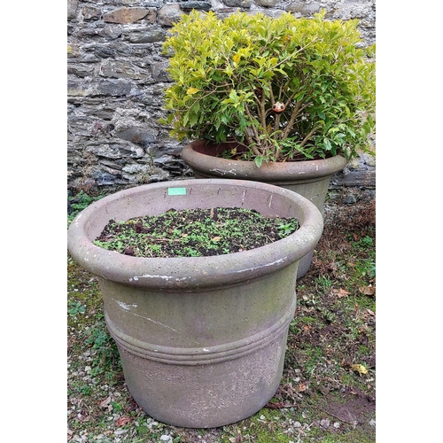 594 - 2 Large Terracotta Style Composite Stone Planters - C. 72cm W x 57cm H - One Planted with Variegated... 