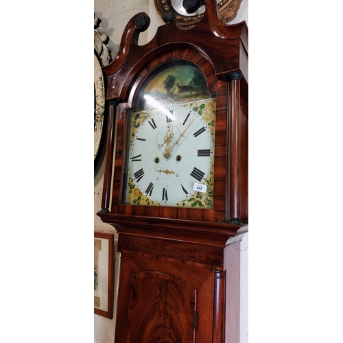 645 - 19th Century Mahogany Longcase Clock - C. 220cm H