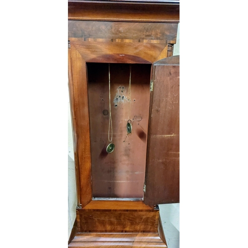 645 - 19th Century Mahogany Longcase Clock - C. 220cm H