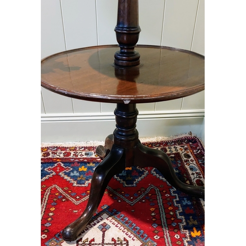 672 - Georgian Circular Mahogany 3-Tier Dumb Waiter - C. 115cm H