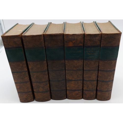 681 - 6 Volumes by The Phoenix Publishing Company inc The Hedge Schools of Ireland, The Irish revolution e... 