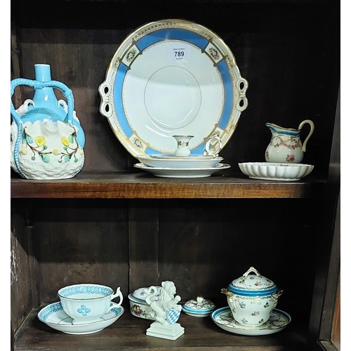 789 - 2 Shelves of Blueware Porcelain