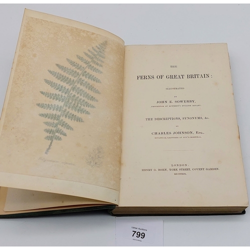 799 - The Ferns of Great Britain Ed by Charles Johnson, Illustrated by John E Sowerby. 1859