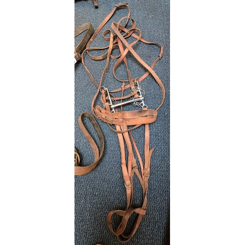 1117 - Job Lot of Leather Collars & Bridles