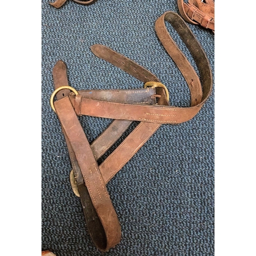 1117 - Job Lot of Leather Collars & Bridles