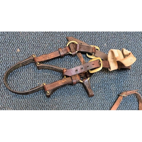 1117 - Job Lot of Leather Collars & Bridles